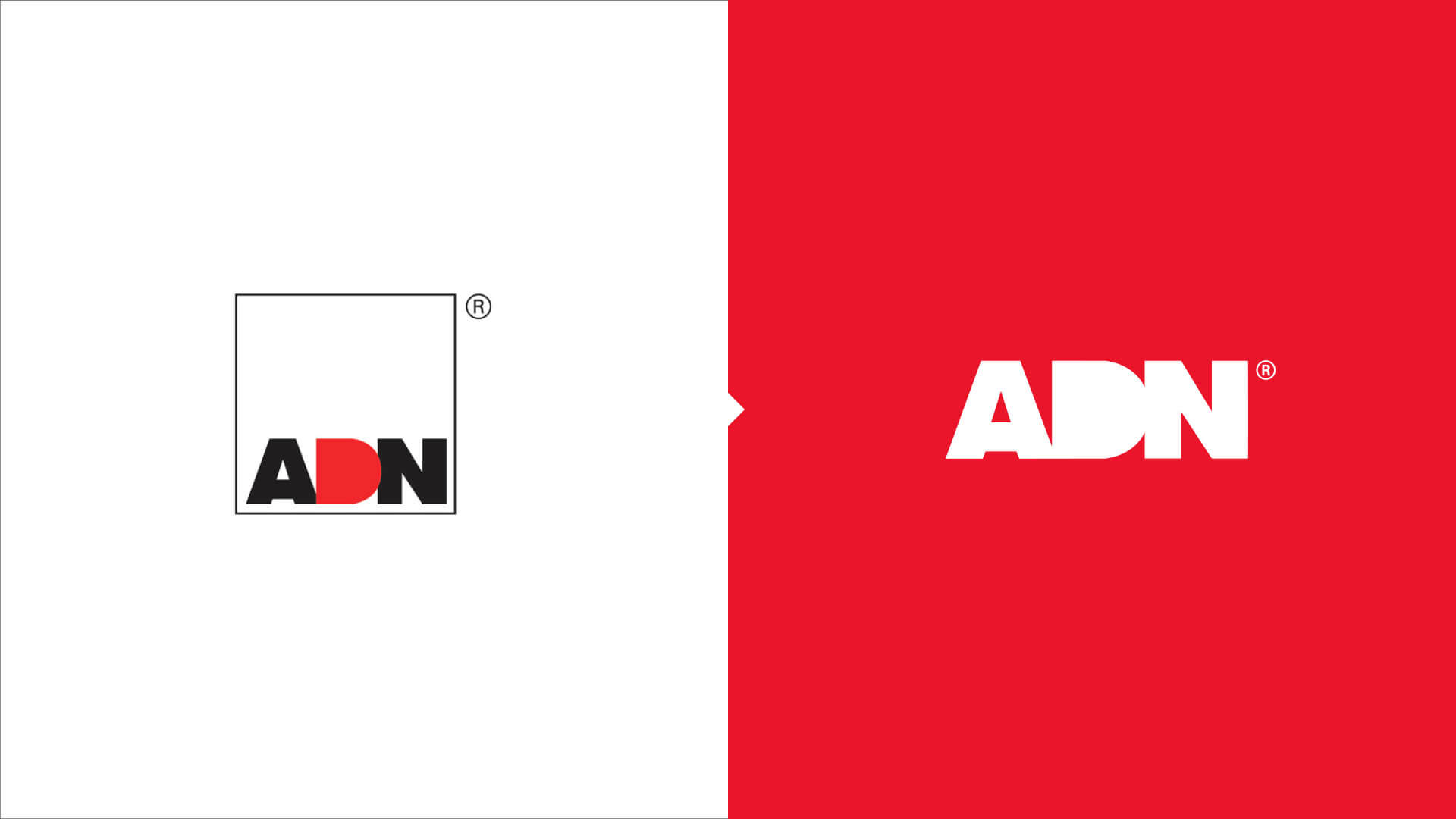 Florida-Brand-Design-ADN-21