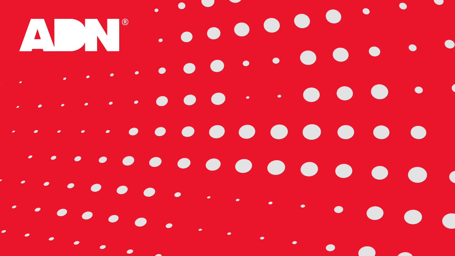 ADN-Logo auf rotem Hintergrund mit weißen Punkten, Key Visual und Corporate Design von Florida Brand Design für moderne Markenidentität.