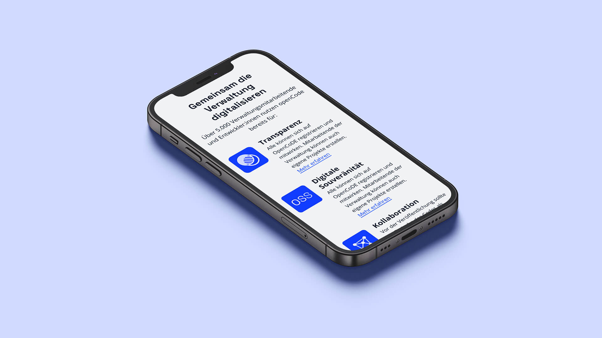 Florida-Brand-Design-openCode-ZenDiS-Webiste-Content-Creation-10